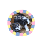 キュー太郎スタンプその3（個別スタンプ：3）