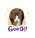 キュー太郎スタンプその3（個別スタンプ：8）