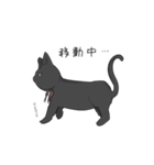 探偵さんと黒猫さん（個別スタンプ：16）