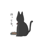 探偵さんと黒猫さん（個別スタンプ：21）