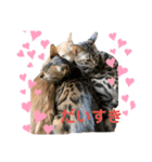 いちやなぎさんちのねこといぬ vol.1（個別スタンプ：9）
