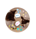 ウチのわんちゃんの日常（個別スタンプ：1）