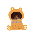 ウチのわんちゃんの日常（個別スタンプ：3）