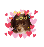 ウチのわんちゃんの日常（個別スタンプ：9）