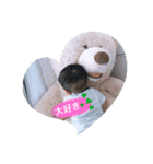 藤原叶翔スタンプ（個別スタンプ：4）