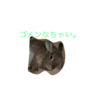 マロンのつぶやき2（個別スタンプ：3）