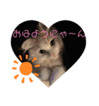 もふもふなえるちゃん（個別スタンプ：1）