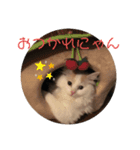 もふもふなえるちゃん（個別スタンプ：3）