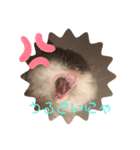 もふもふなえるちゃん（個別スタンプ：4）