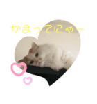 もふもふなえるちゃん（個別スタンプ：5）
