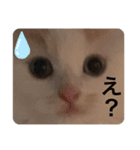 もふもふなえるちゃん（個別スタンプ：8）
