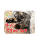コタハナにゃん日常で使える（個別スタンプ：7）