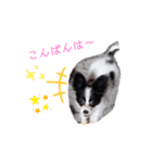 りんちゃんだよ～3（個別スタンプ：2）