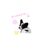 りんちゃんだよ～3（個別スタンプ：3）