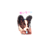 りんちゃんだよ～3（個別スタンプ：6）