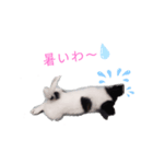 りんちゃんだよ～3（個別スタンプ：7）