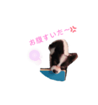 りんちゃんだよ～3（個別スタンプ：8）
