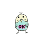 可愛いインコたち（個別スタンプ：5）