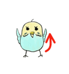 可愛いインコたち（個別スタンプ：6）