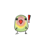 可愛いインコたち（個別スタンプ：8）