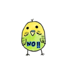 可愛いインコたち（個別スタンプ：11）