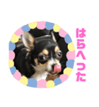 こじろうラムネアラレスタンプ2（個別スタンプ：7）
