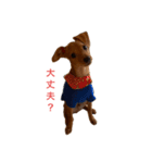 I am Tankobu（個別スタンプ：4）