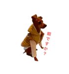 I am Tankobu（個別スタンプ：10）