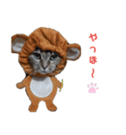 にゃんとも猫スタンプ（個別スタンプ：24）