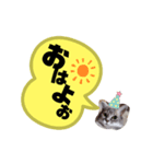 あいさつCoCoちゃん。（個別スタンプ：1）