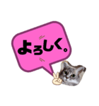 あいさつCoCoちゃん。（個別スタンプ：5）