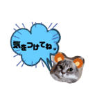 あいさつCoCoちゃん。（個別スタンプ：7）