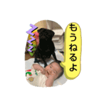 ぼくは、そうちゃん6（個別スタンプ：16）