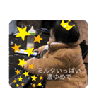 蓮唯くんスタンプ③（個別スタンプ：7）