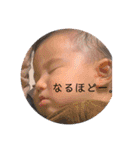 蓮唯くんスタンプ③（個別スタンプ：22）