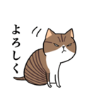 ブサねこ ギブソン（個別スタンプ：4）