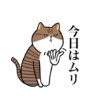 ブサねこ ギブソン（個別スタンプ：6）