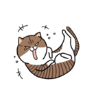 ブサねこ ギブソン（個別スタンプ：8）