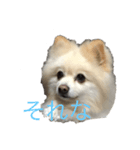 なっつすたんぷ①（個別スタンプ：1）