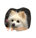 なっつすたんぷ①（個別スタンプ：3）