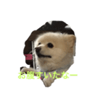 なっつすたんぷ①（個別スタンプ：4）
