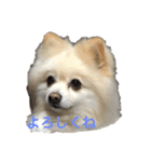 なっつすたんぷ①（個別スタンプ：5）