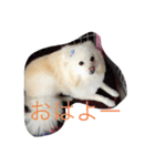 なっつすたんぷ①（個別スタンプ：7）
