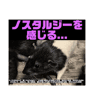 可愛げのないファンシー ラット第1弾（個別スタンプ：5）