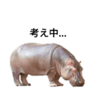 動物園の愉快な仲間たち1（個別スタンプ：17）
