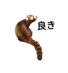 動物園の愉快な仲間たち1（個別スタンプ：19）