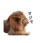 動物園の愉快な仲間たち1（個別スタンプ：25）