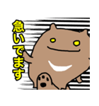 グマ（個別スタンプ：16）