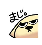 うさぎといぬ vol.1（個別スタンプ：17）