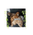 mcntrmスタンプ（個別スタンプ：6）